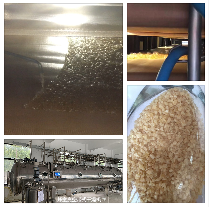 蜂蜜真空帶式幹燥機